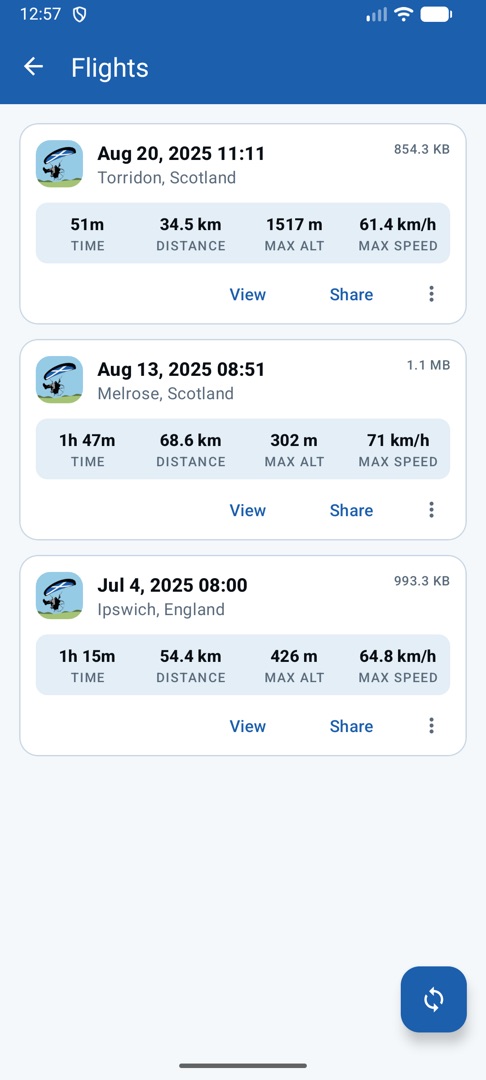 Flights list with three flights